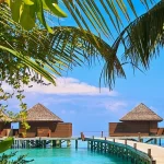 Going to the Maldives